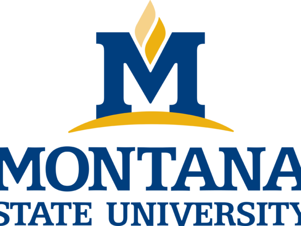 Montana State University_logo