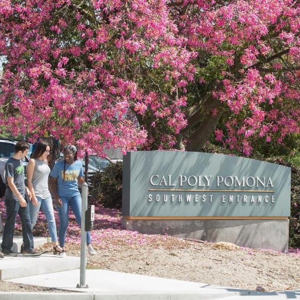 California Polytechnic University Pomona