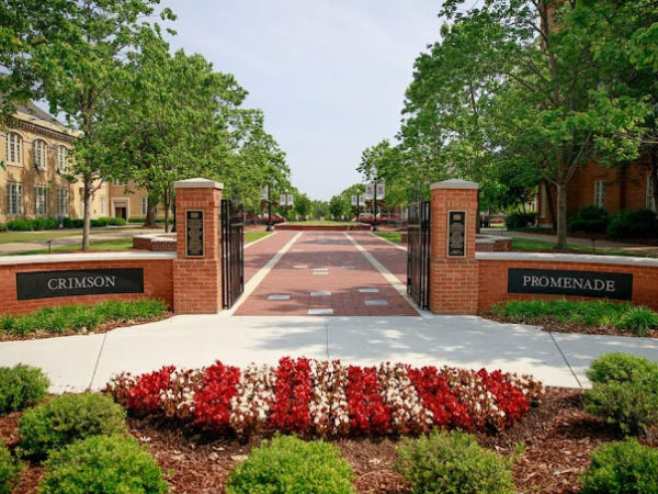 2205025, campus stock